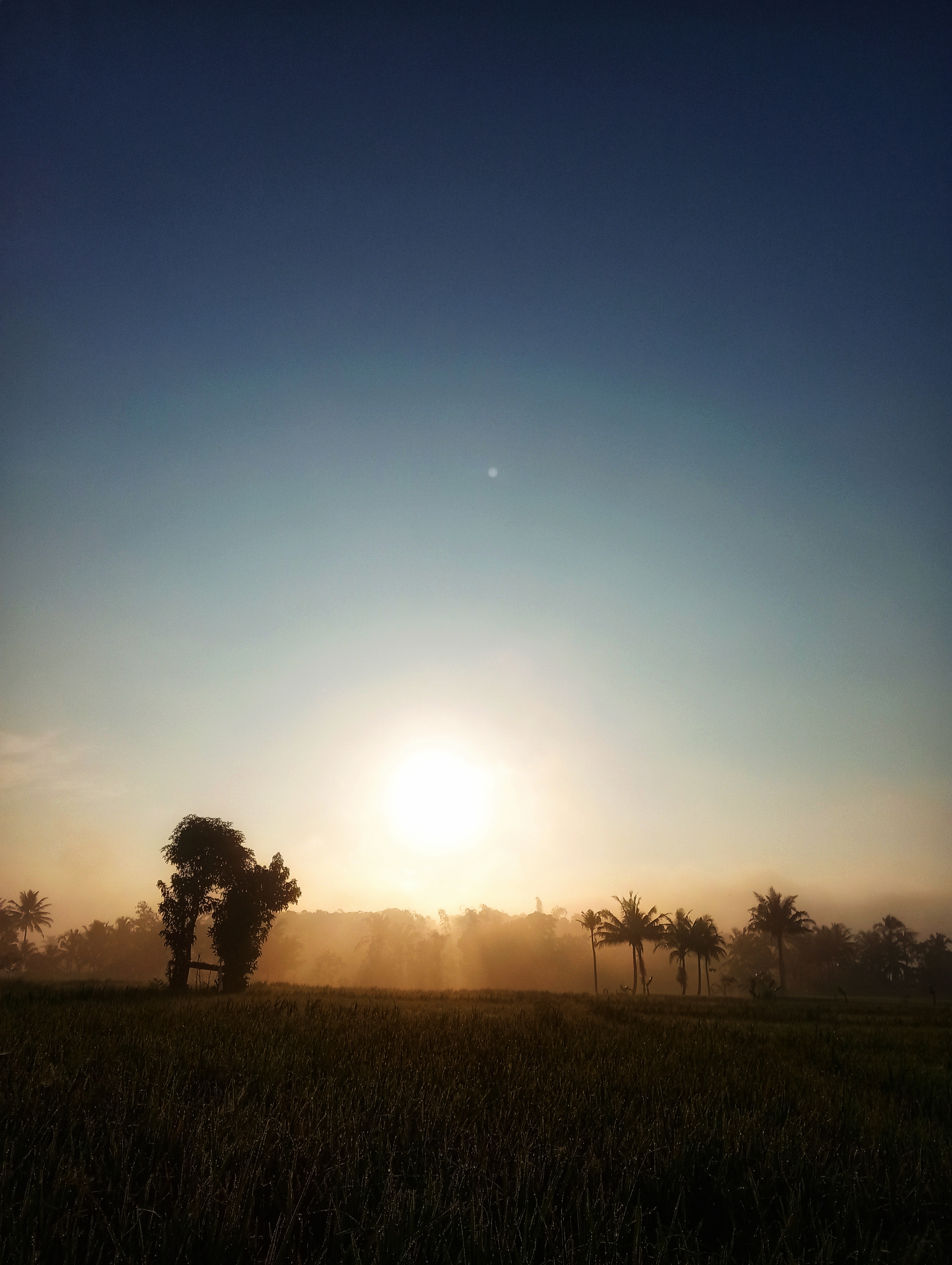Images