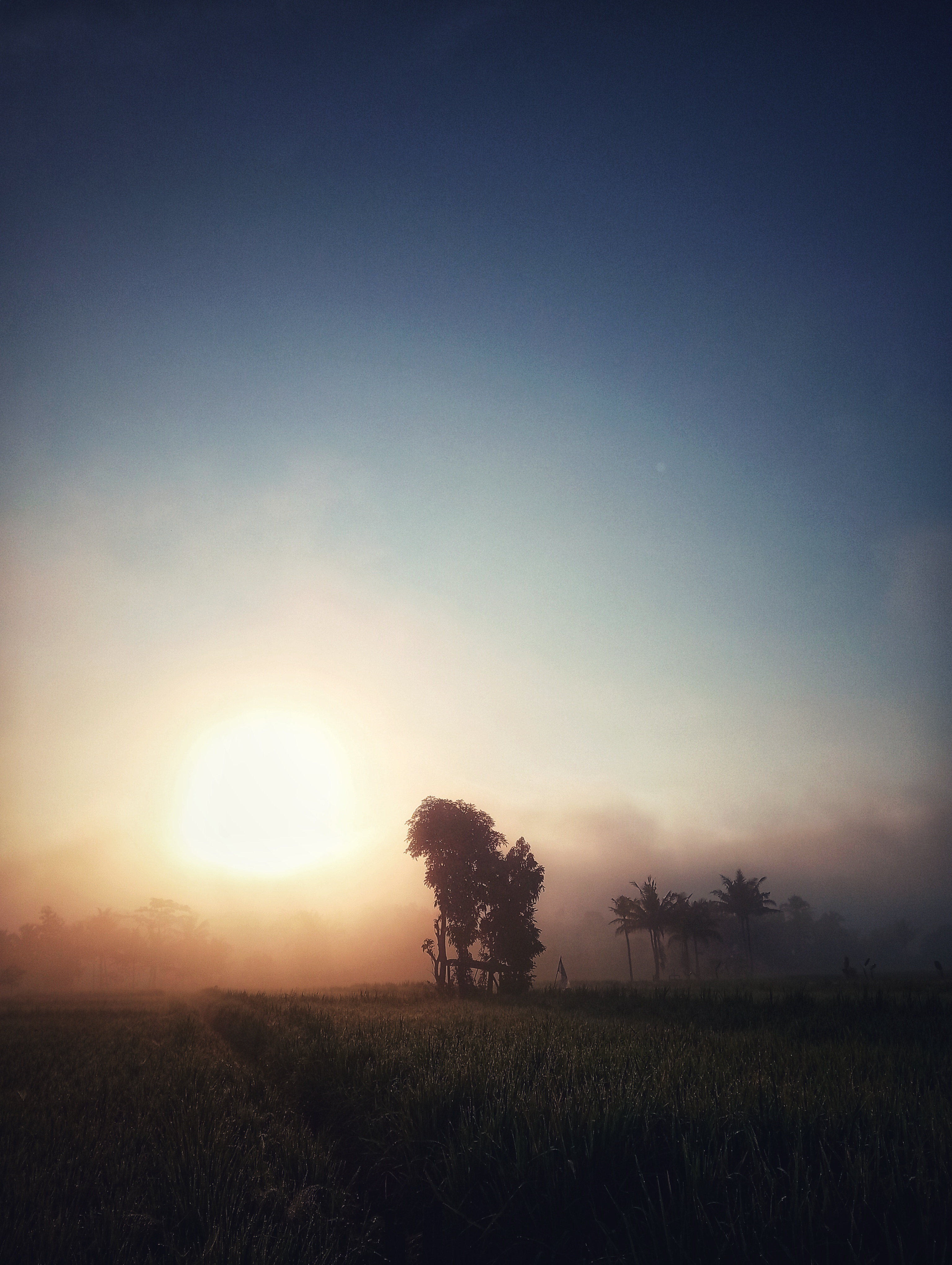 Images