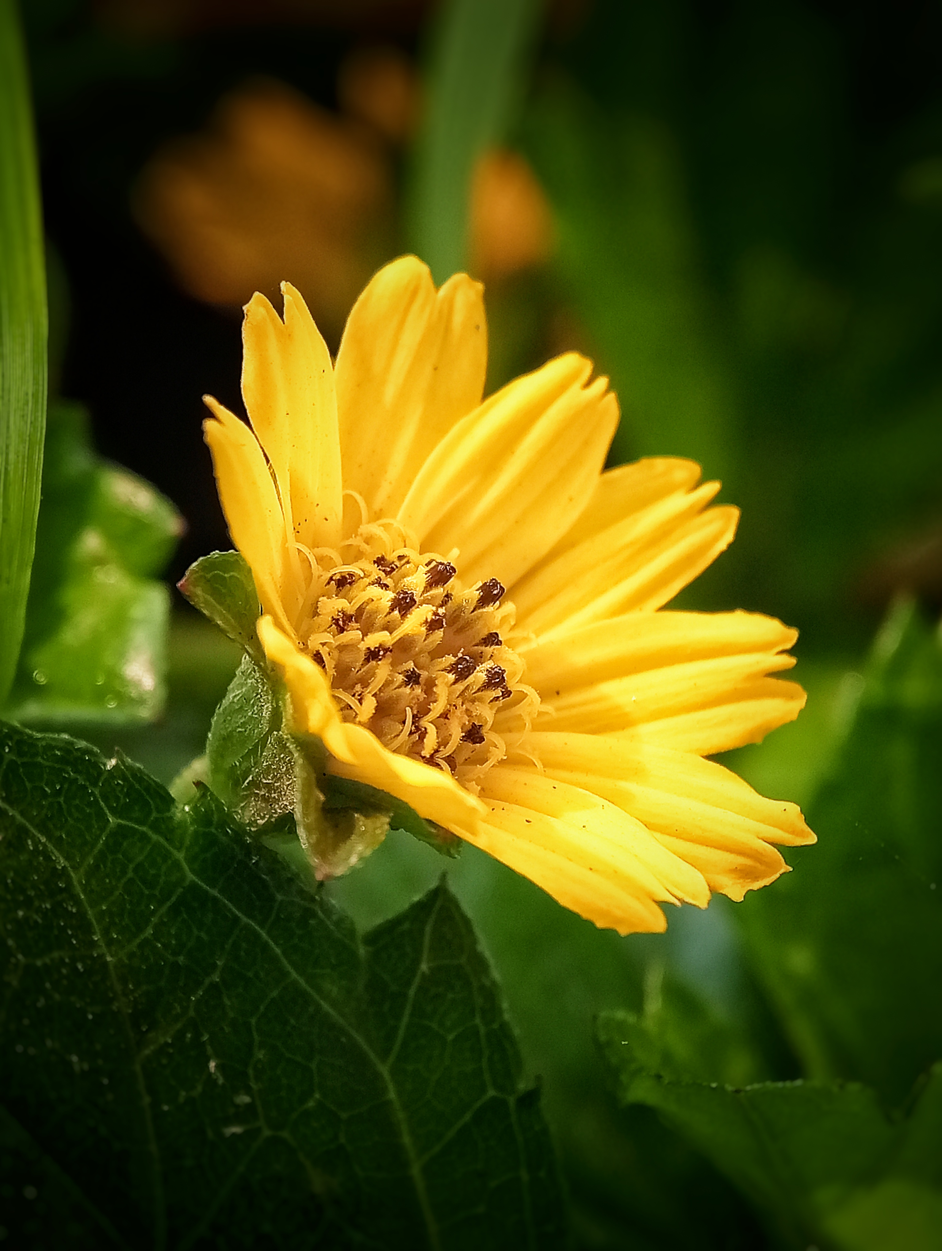 Images