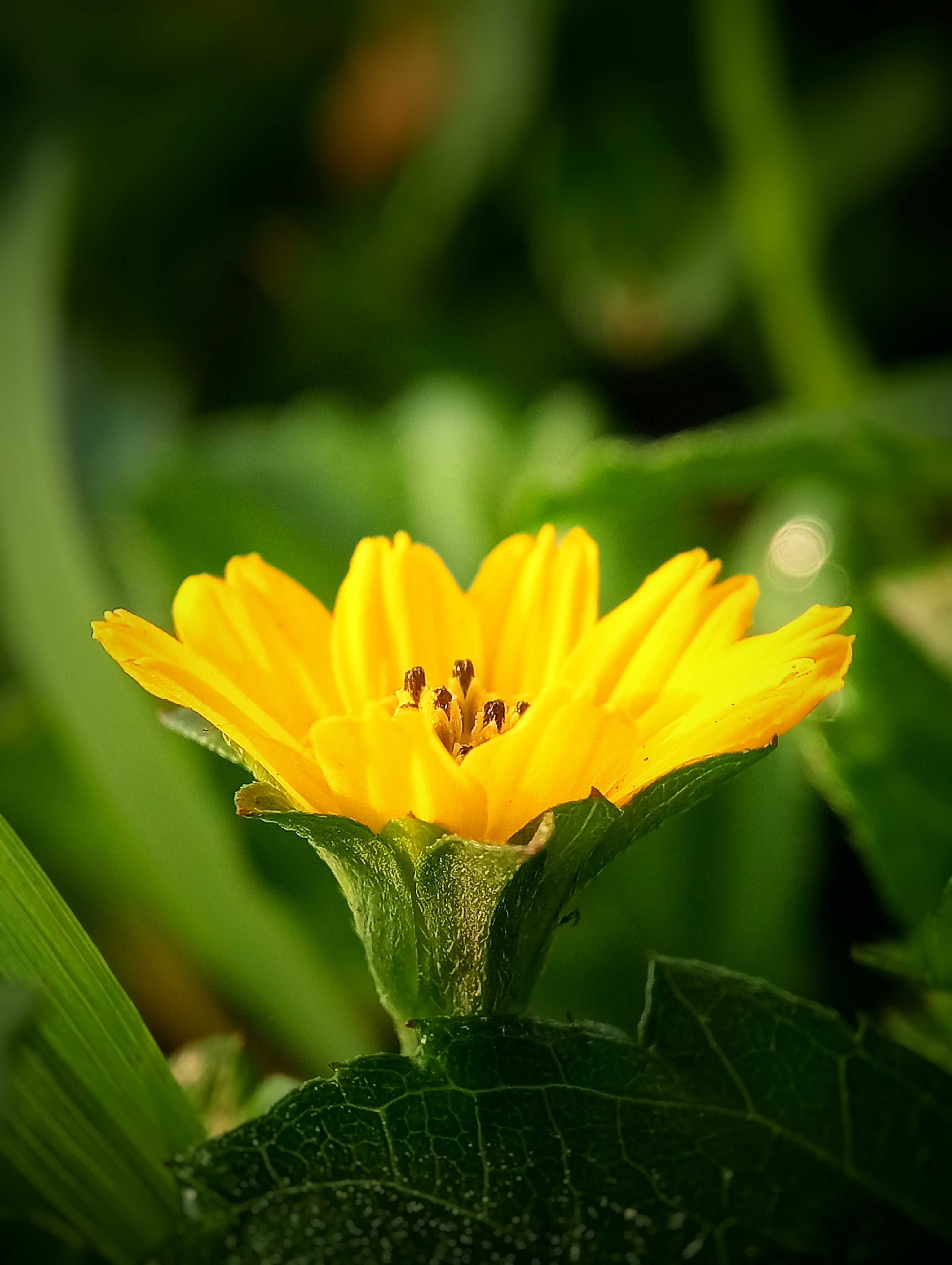 Images